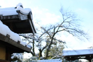 雪景色が堪能できる京都